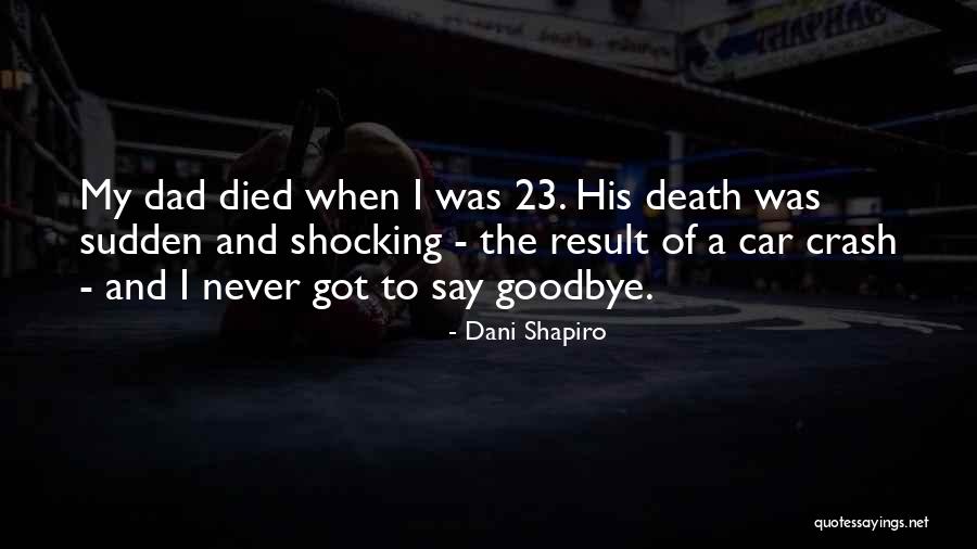 My Dad Died Quotes By Dani Shapiro My Dad Died Quotes By Dani Shapiro