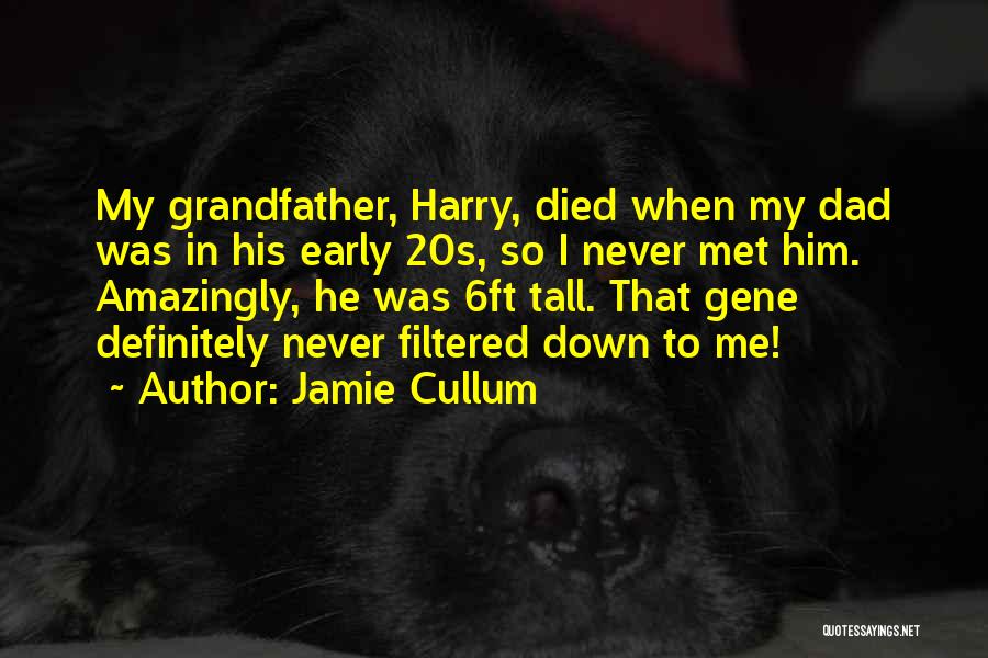 My Dad Who Died Quotes By Jamie Cullum