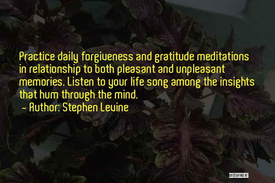 My Daily Insights Quotes By Stephen Levine