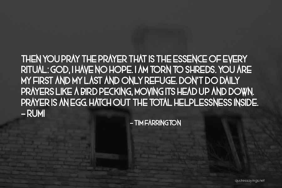 My Daily Prayer Quotes By Tim Farrington My Daily Prayer Quotes By Tim Farrington