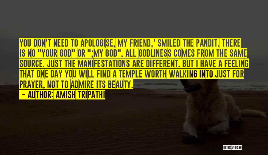 My Day One Friend Quotes By Amish Tripathi