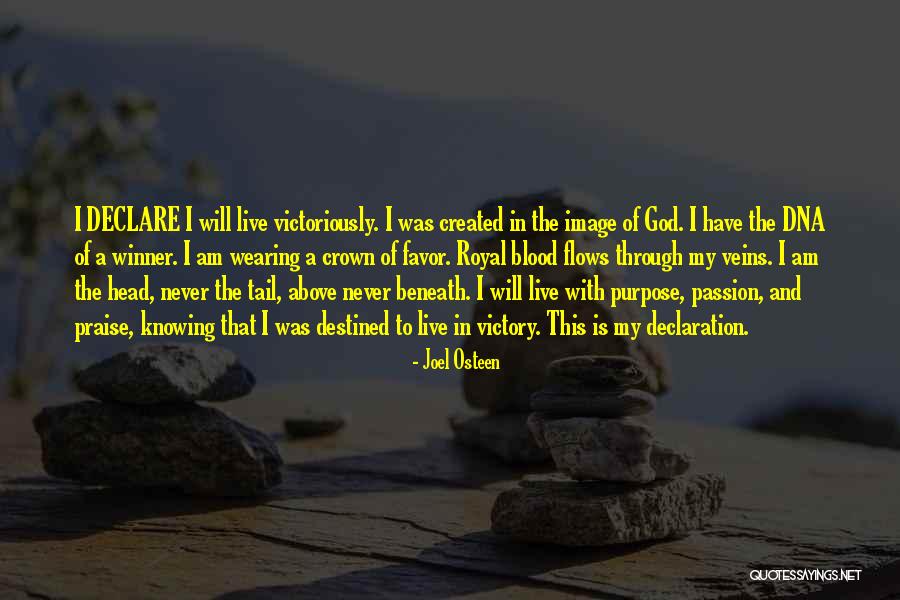 My Declaration Quotes By Joel Osteen