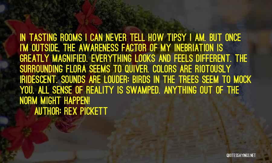 My Different Looks Quotes By Rex Pickett