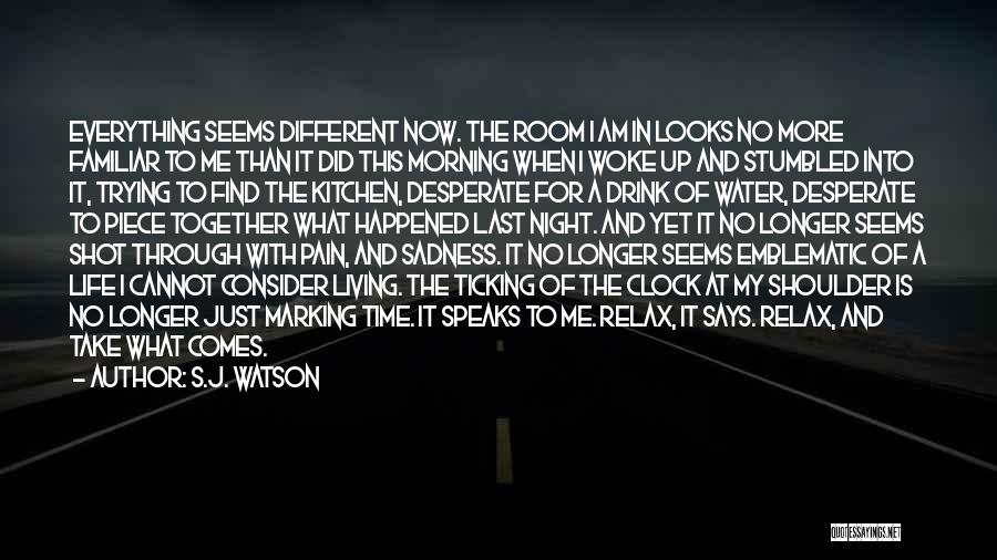 My Different Looks Quotes By S.J. Watson