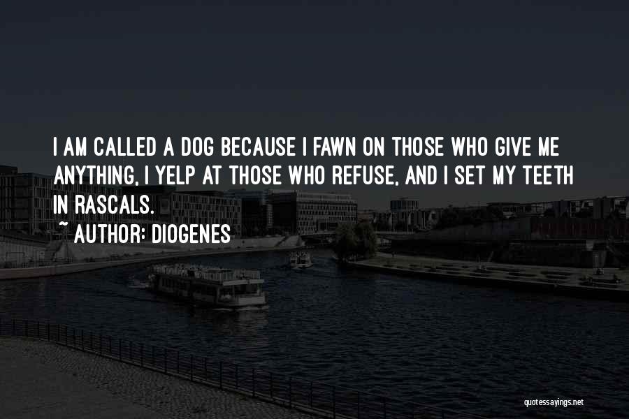 My Dog And Me Quotes By Diogenes