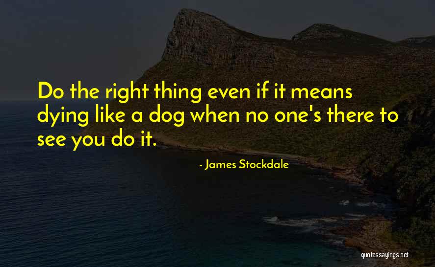 My Dog Dying Quotes By James Stockdale My Dog Dying Quotes By James Stockdale