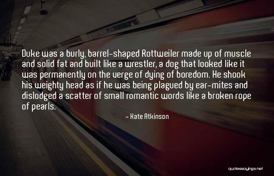 My Dog Dying Quotes By Kate Atkinson My Dog Dying Quotes By Kate Atkinson