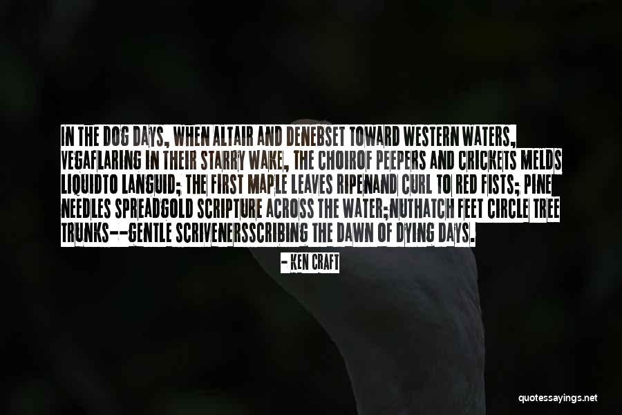 My Dog Dying Quotes By Ken Craft My Dog Dying Quotes By Ken Craft