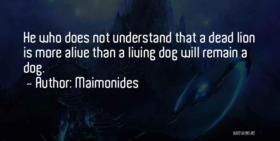 My Dog Is Dead Quotes By Maimonides