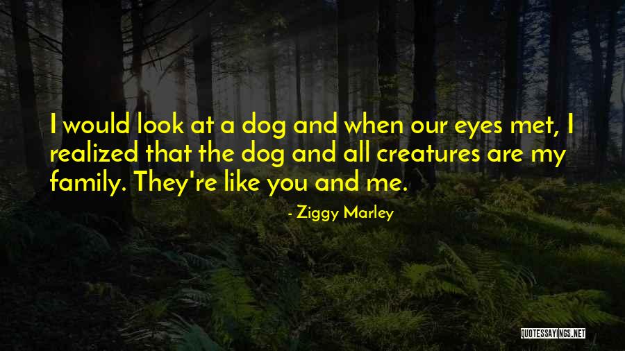 My Dog Is Family Quotes By Ziggy Marley