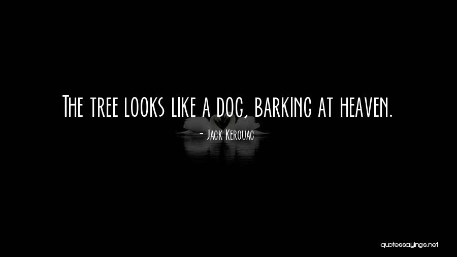 My Dog Is In Heaven Quotes By Jack Kerouac My Dog Is In Heaven Quotes By Jack Kerouac