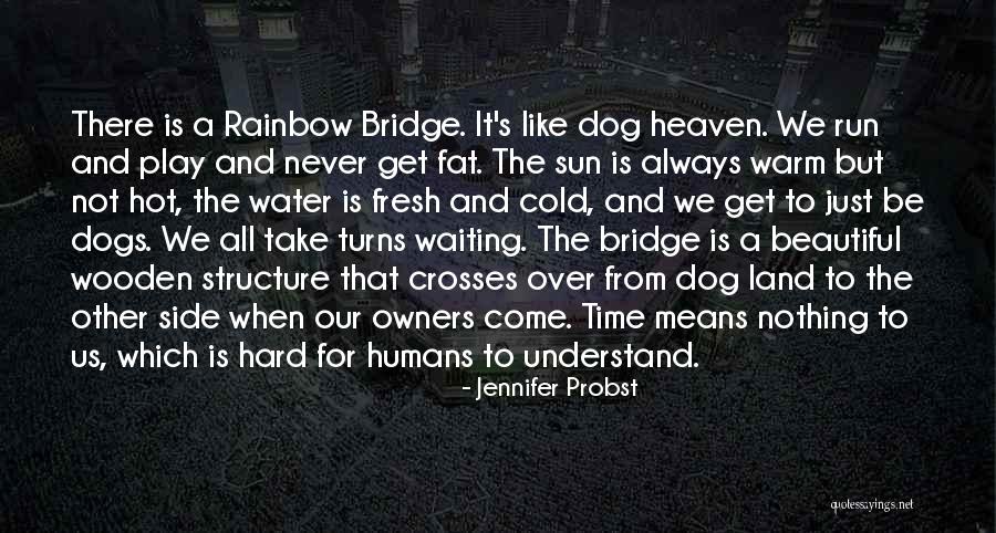 My Dog Is In Heaven Quotes By Jennifer Probst My Dog Is In Heaven Quotes By Jennifer Probst