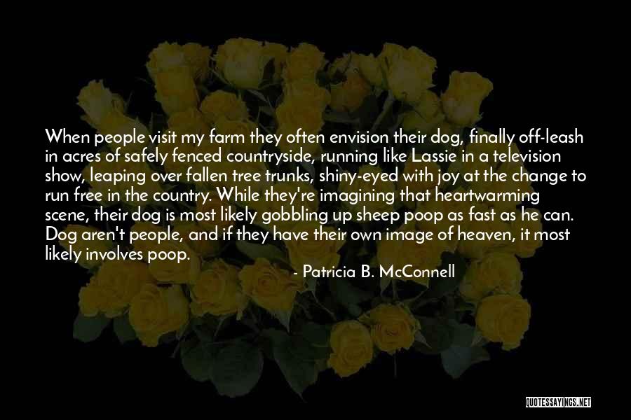 My Dog Is In Heaven Quotes By Patricia B. McConnell