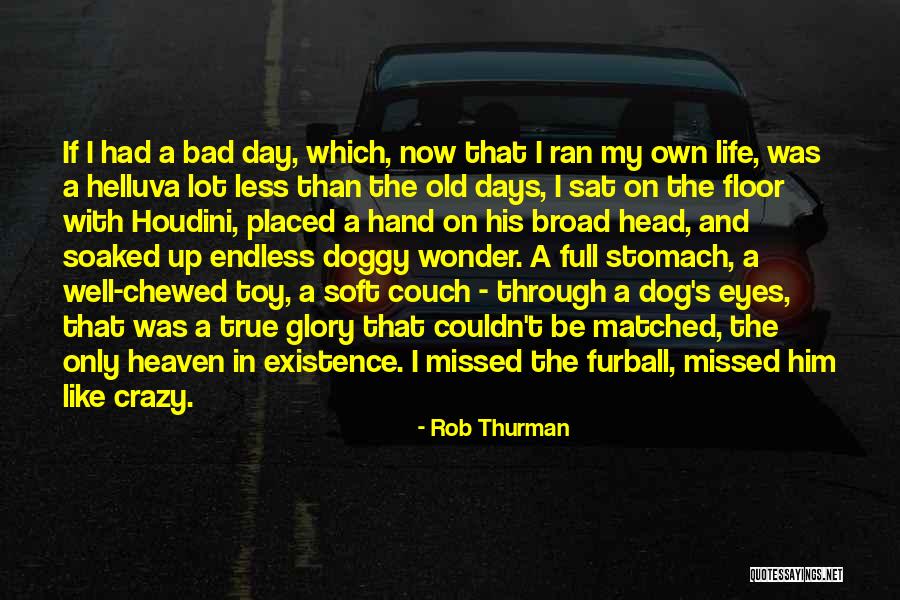 My Dog Is In Heaven Quotes By Rob Thurman My Dog Is In Heaven Quotes By Rob Thurman
