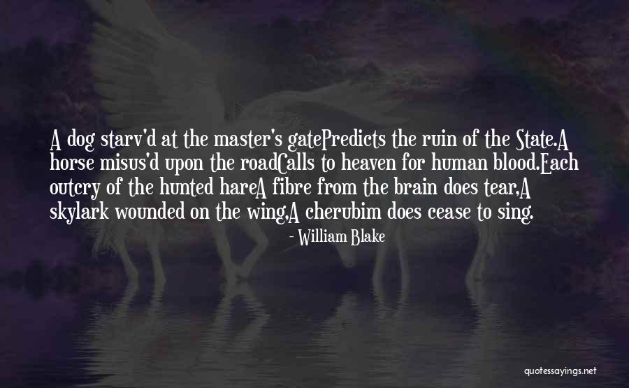 My Dog Is In Heaven Quotes By William Blake My Dog Is In Heaven Quotes By William Blake