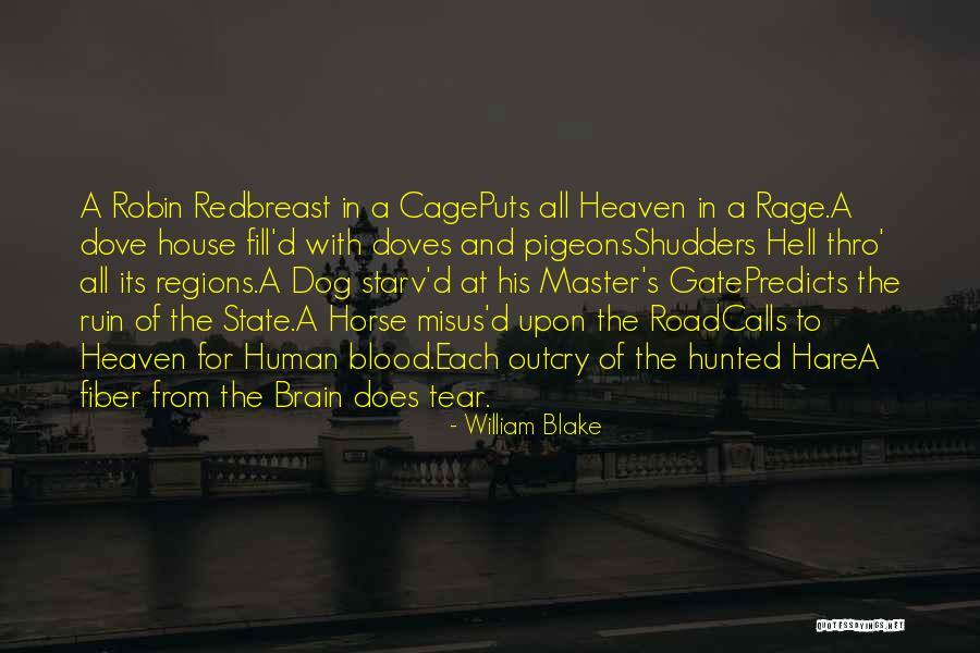 My Dog Is In Heaven Quotes By William Blake My Dog Is In Heaven Quotes By William Blake