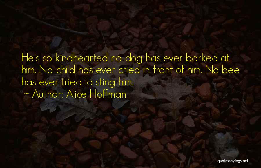 My Dog Is My Child Quotes By Alice Hoffman