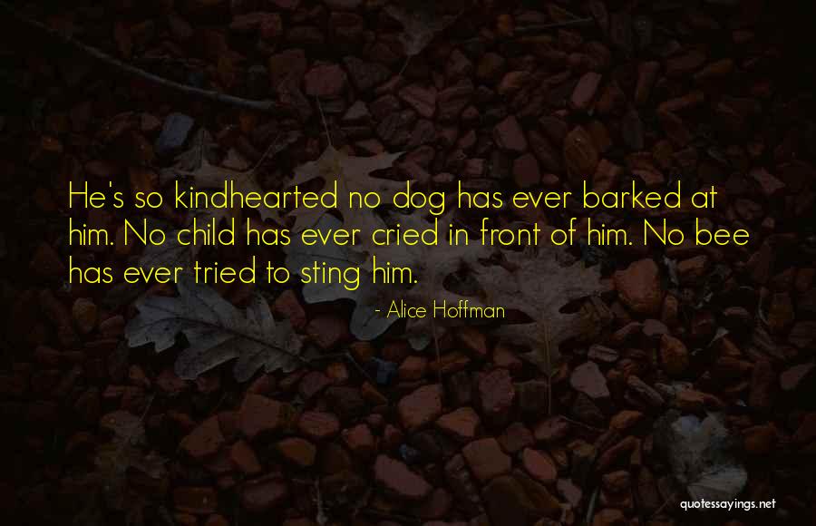 My Dog Is My Child Quotes By Alice Hoffman