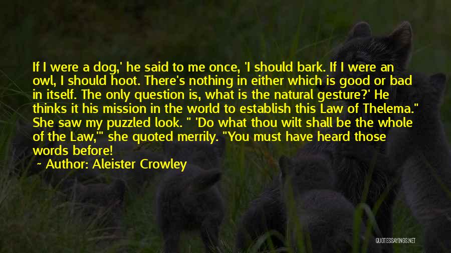 My Dog Is My World Quotes By Aleister Crowley