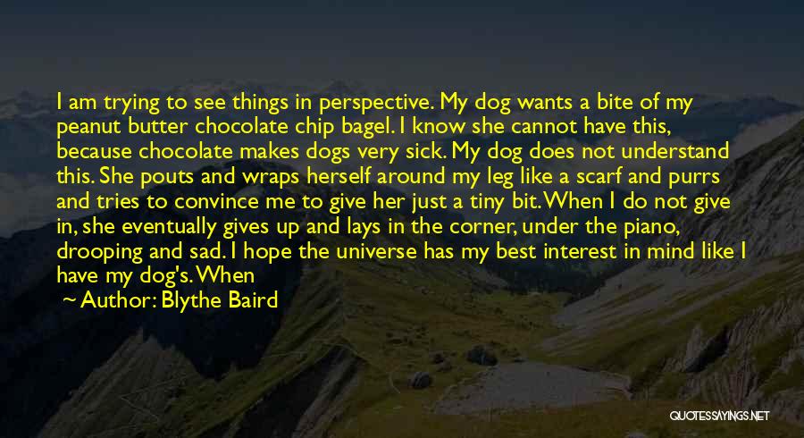 My Dog Is Sick Quotes By Blythe Baird
