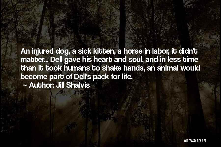 My Dog Is Sick Quotes By Jill Shalvis