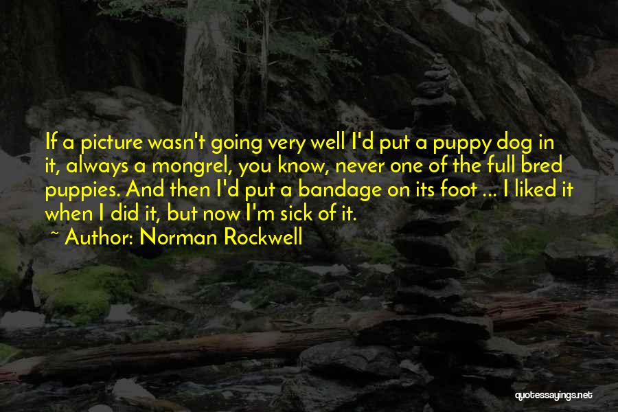 My Dog Is Sick Quotes By Norman Rockwell