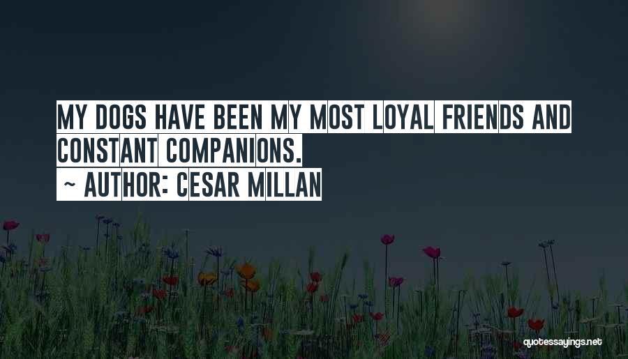 My Dogs My Best Friends Quotes By Cesar Millan