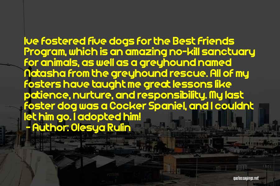 My Dogs My Best Friends Quotes By Olesya Rulin