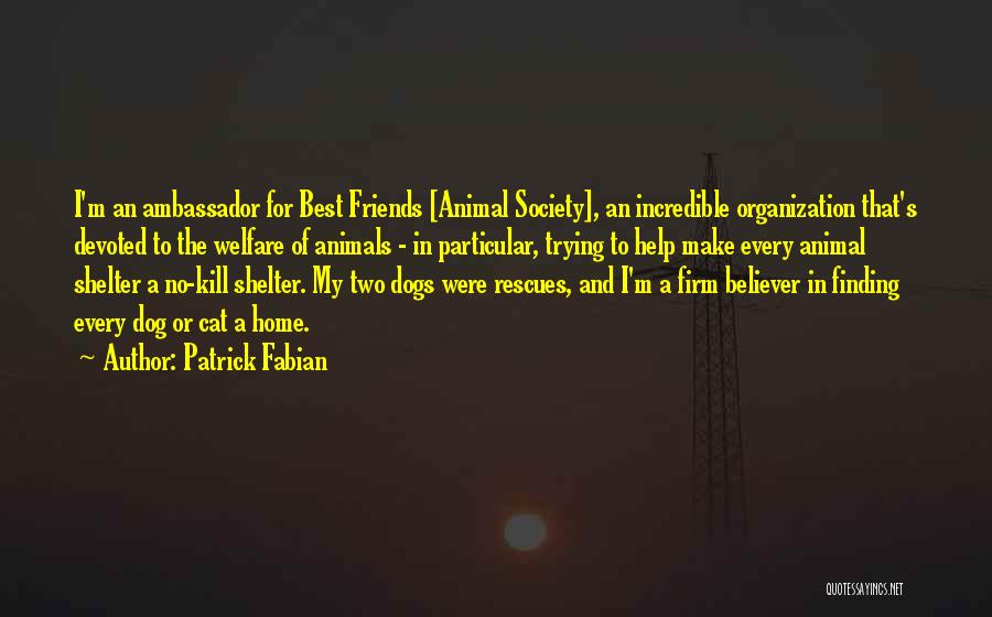 My Dogs My Best Friends Quotes By Patrick Fabian