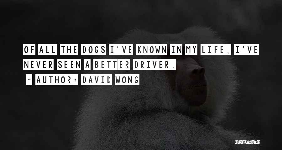 My Dogs Quotes By David Wong