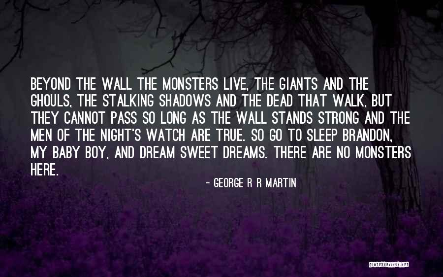 My Dream Boy Quotes By George R R Martin