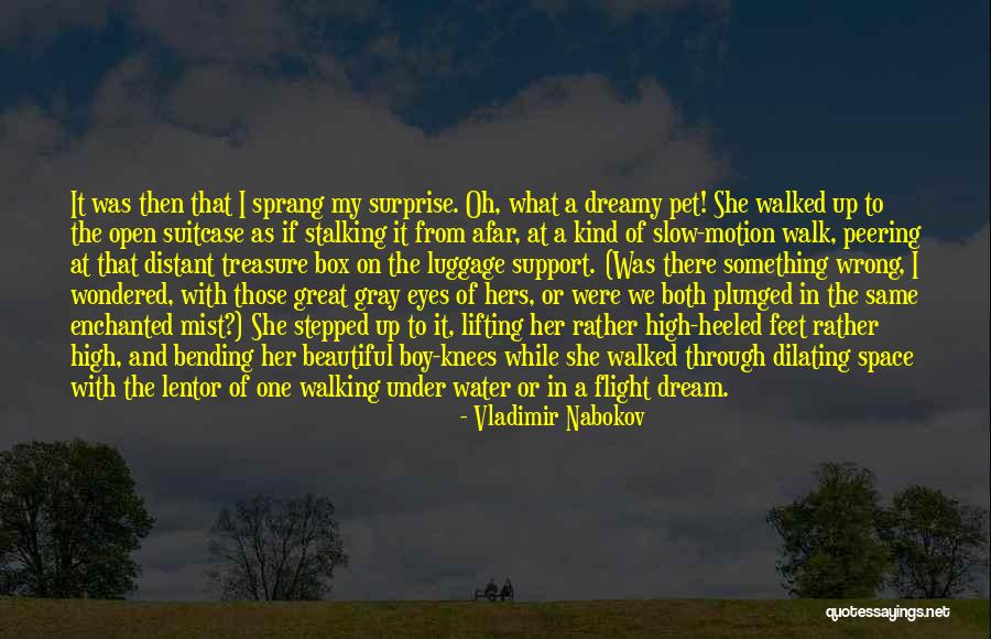 My Dream Boy Quotes By Vladimir Nabokov