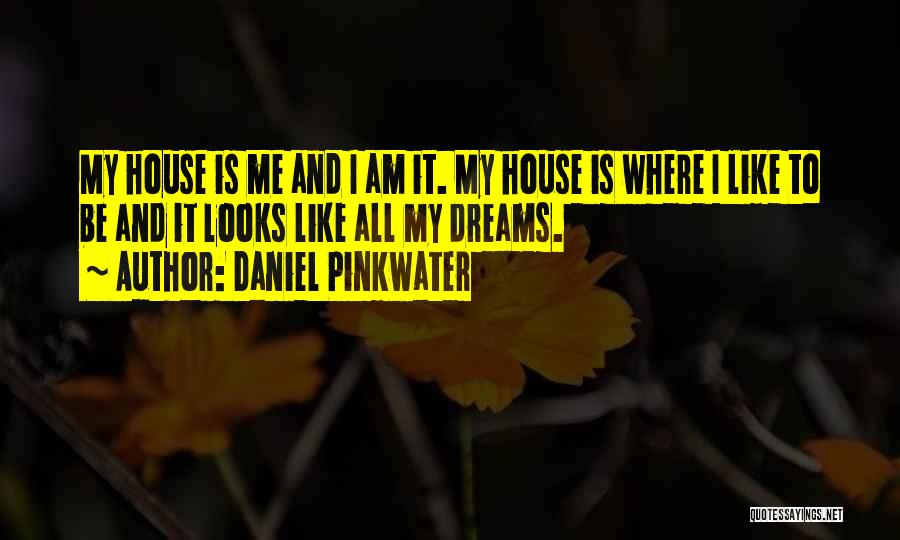 My Dream House Quotes By Daniel Pinkwater