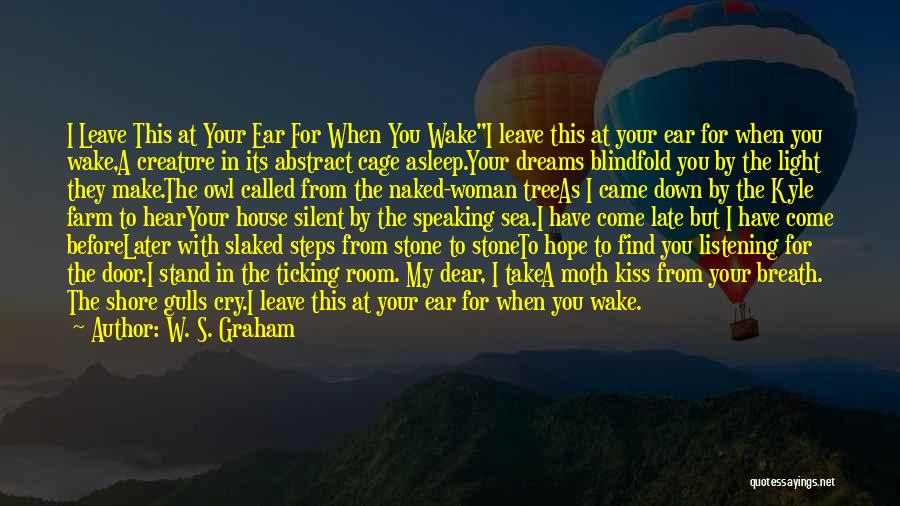 My Dreams For You Quotes By W. S. Graham