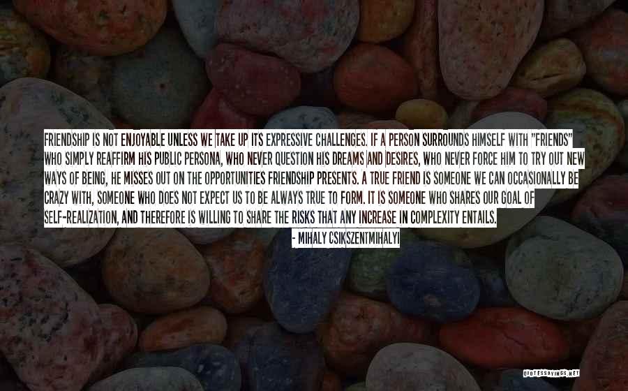 My Dreams Never Come True Quotes By Mihaly Csikszentmihalyi My Dreams Never Come True Quotes By Mihaly Csikszentmihalyi