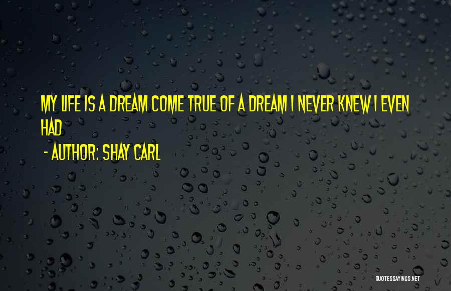 My Dreams Never Come True Quotes By Shay Carl