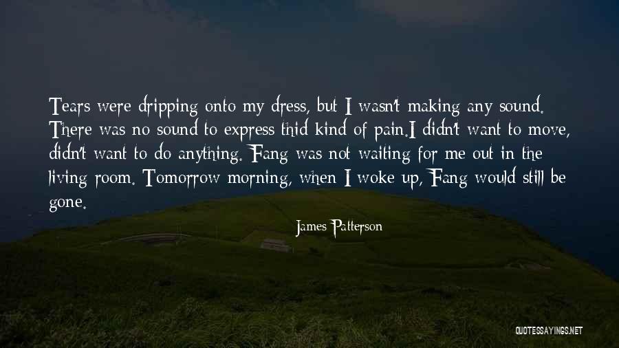 My Dress Up Quotes By James Patterson