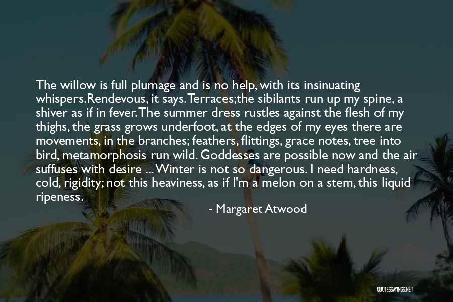My Dress Up Quotes By Margaret Atwood My Dress Up Quotes By Margaret Atwood