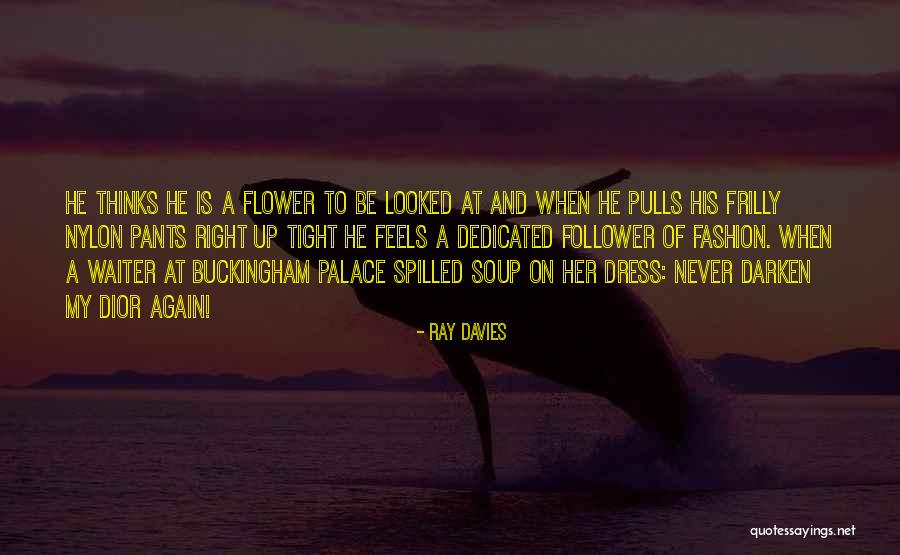 My Dress Up Quotes By Ray Davies My Dress Up Quotes By Ray Davies