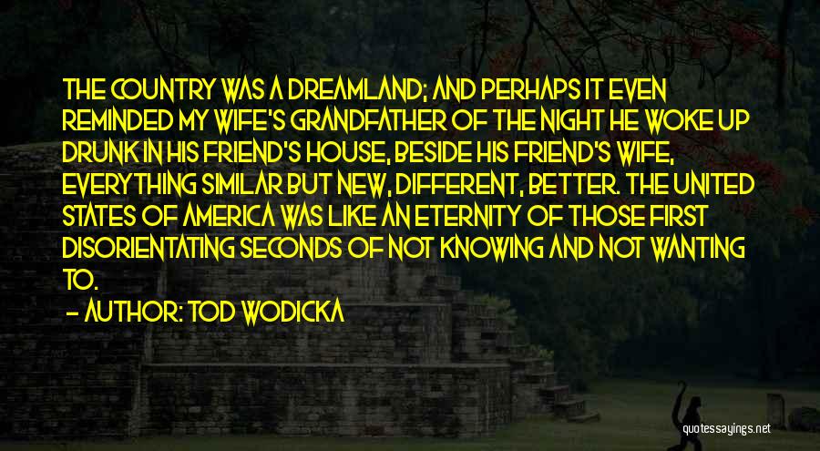 My Drunk Friend Quotes By Tod Wodicka