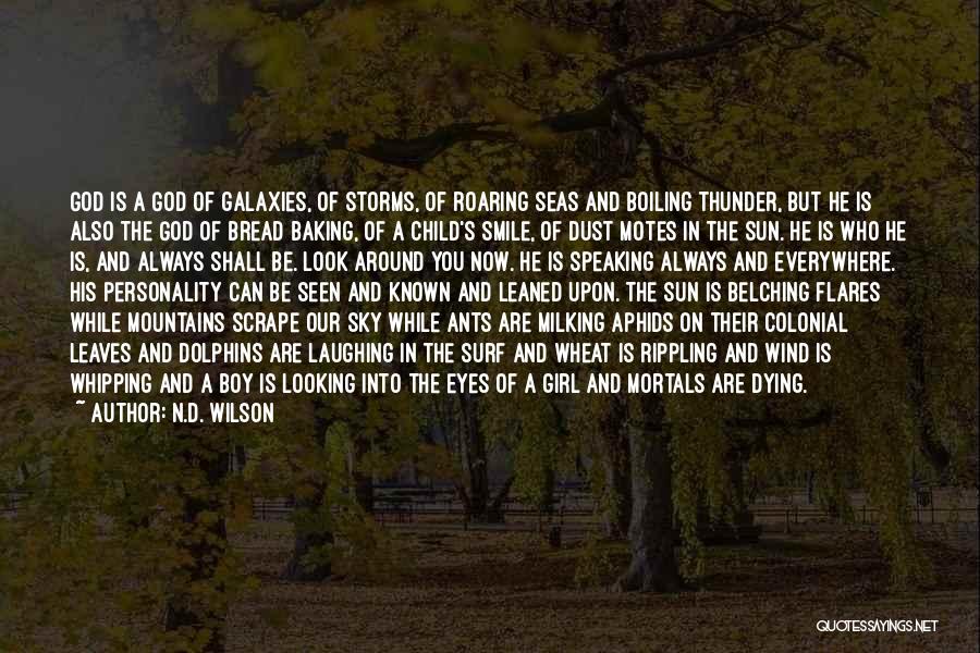 My Eyes Always Looking For You Quotes By N.D. Wilson