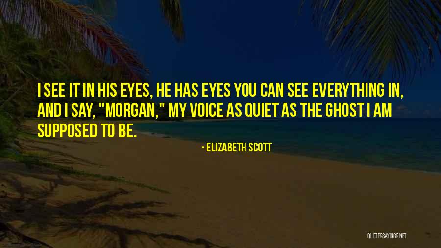 My Eyes See Everything Quotes By Elizabeth Scott