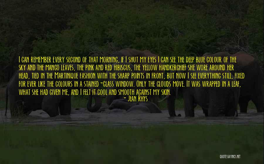My Eyes See Everything Quotes By Jean Rhys My Eyes See Everything Quotes By Jean Rhys