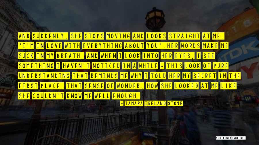 My Eyes See Everything Quotes By Tamara Ireland Stone My Eyes See Everything Quotes By Tamara Ireland Stone