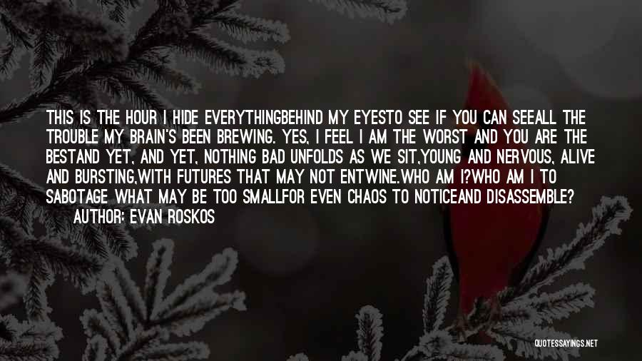 My Eyes See You Quotes By Evan Roskos