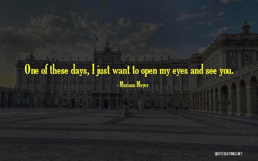 My Eyes See You Quotes By Marissa Meyer