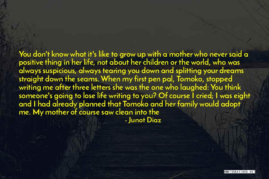 My Family Always Comes First Quotes By Junot Diaz