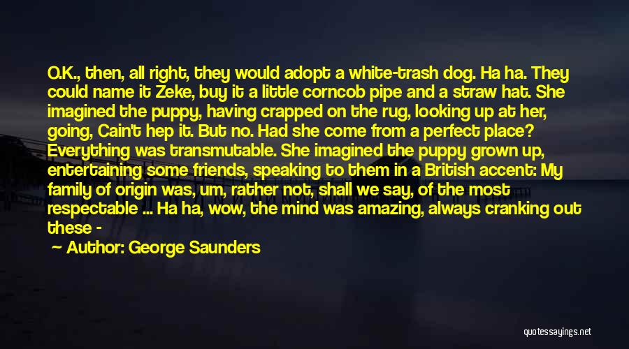 My Family May Not Perfect Quotes By George Saunders