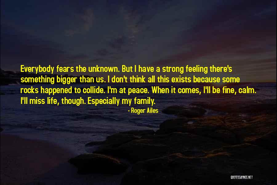 My Family Rocks Quotes By Roger Ailes My Family Rocks Quotes By Roger Ailes