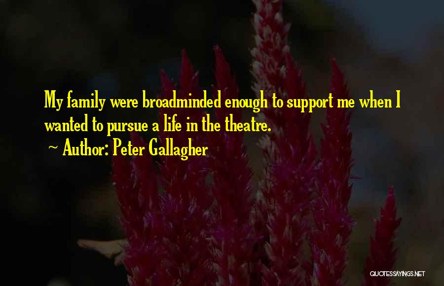 My Family Support Quotes By Peter Gallagher
